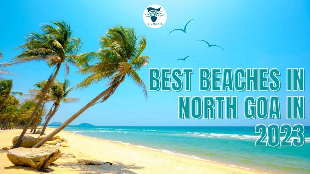 Best Beaches In North Goa 2023 An Absolute Beach